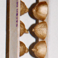 baci delle muse: Detail baci delle muse